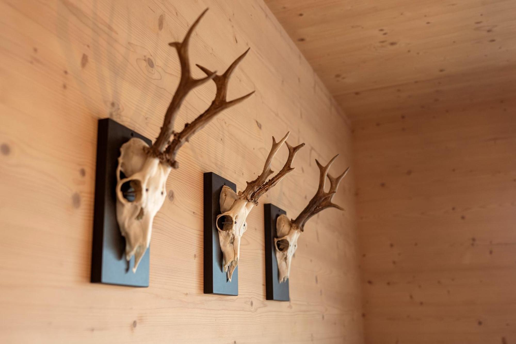 Holzlodge Deluxe Радщат Екстериор снимка